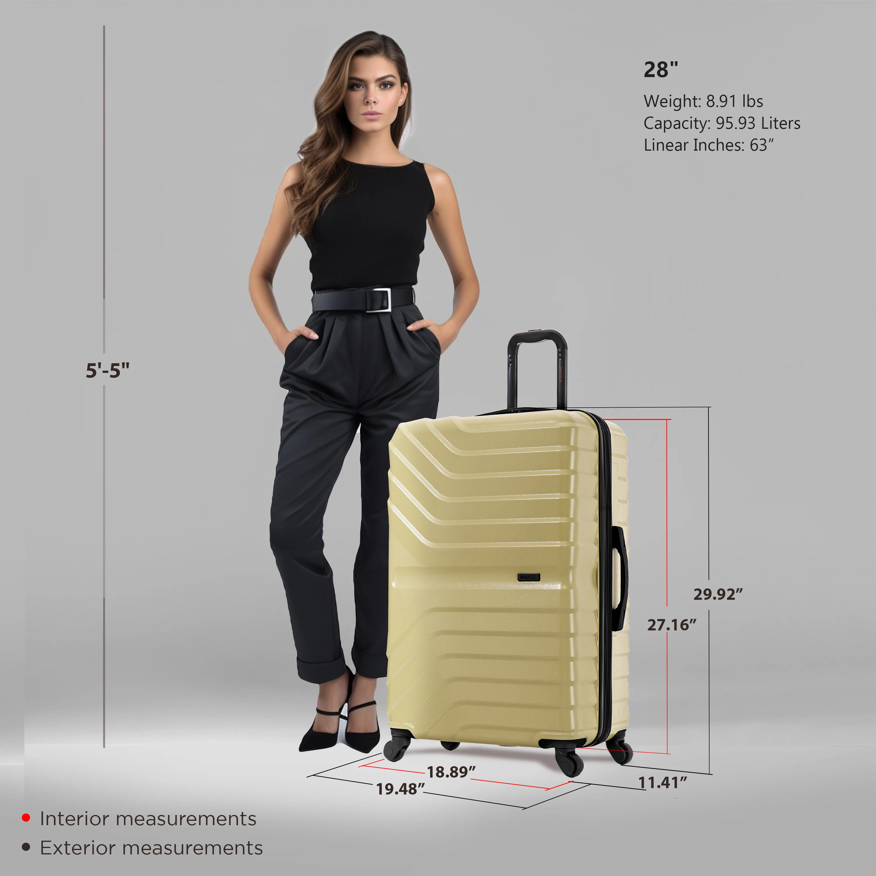 Aurum Large 28" - Image 3